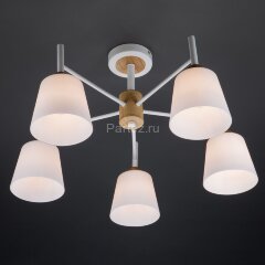 Потолочная люстра Eurosvet 70085/5 белый