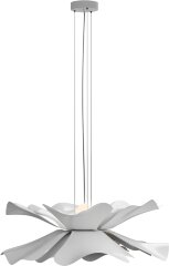 Подвесная люстра Lightera LE116L-60W