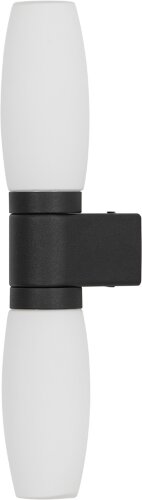 Настенный светильник Arte Lamp A1209AP-2BK