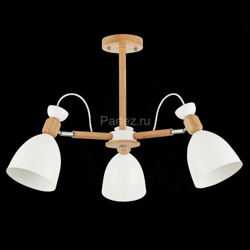 Потолочная люстра Evoluce SLE103802-03