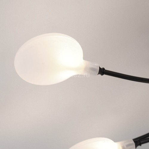 Потолочная люстра Arte Lamp A7423PL-20BK