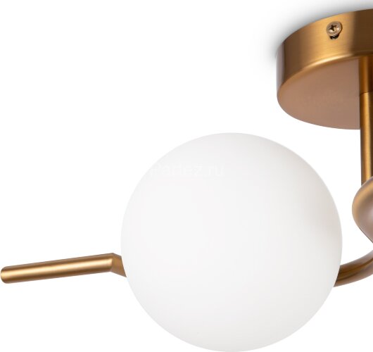 Бра Freya FR5124WL-02BS