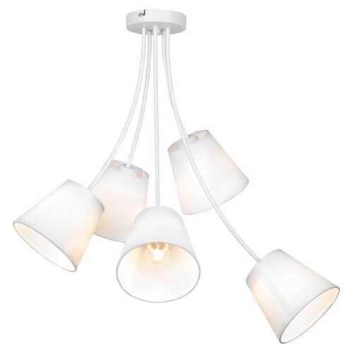 Потолочная люстра Lussole LGO GRLSP-8267