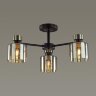 Потолочная люстра Lumion 5643/3C