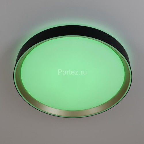 Потолочный светильник Citilux CL751351G