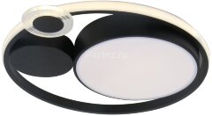 Потолочный светильник Arte Lamp A2690PL-1BK
