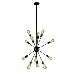 Потолочная люстра iLamp Loft209-12B