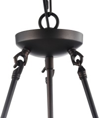 Подвесная люстра Freya FR4166-PL-03C-BL