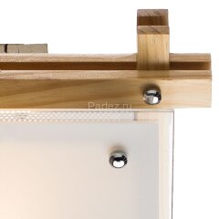 Потолочный светильник Arte Lamp A6460PL-1BR