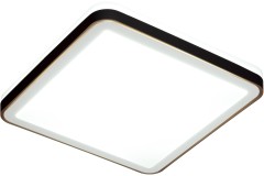 Настенно-потолочный светильник Sonex 7621/DL