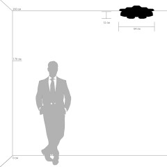 Потолочный светильник Lightstar 750162