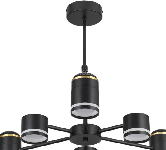 Потолочная люстра Lumion 8234/6C