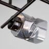 Потолочная люстра Eurosvet 30165/4 черный жемчуг