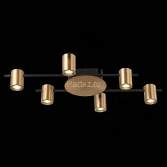 Потолочная люстра ST Luce SL1207.402.06