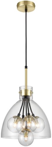 Подвесной светильник Vele Luce VL5904P25