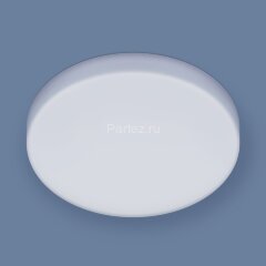 Потолочный светильник Elektrostandard DLR043