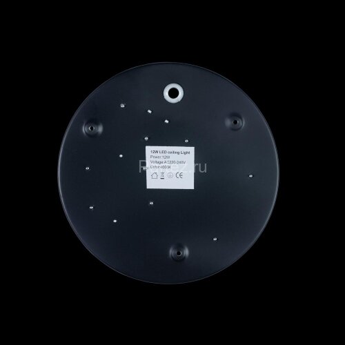 Потолочный светильник Loft It 10002/12 Black