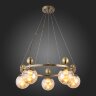 Подвесная люстра Evoluce SLE106303-05