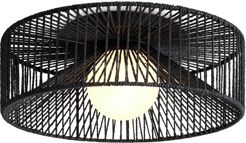 Потолочный светильник Freya FR5405CL-01B