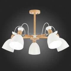 Потолочная люстра Evoluce SLE103802-05