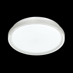 Настенно-потолочный светильник Sonex 3028/DL