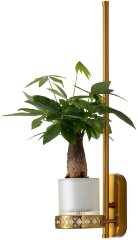 Бра Favourite 4050-1W