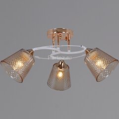 Потолочная люстра Reluce 06003-0.3-03 FG+WT