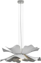 Подвесная люстра Lightera LE116L-55W