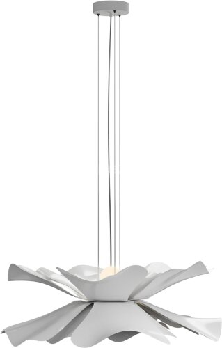 Подвесная люстра Lightera LE116L-55W