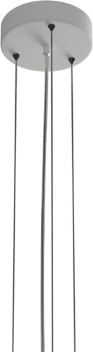 Подвесная люстра Lightera LE116L-55W