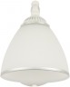 Бра Arte Milano 341837/1W WT+SL