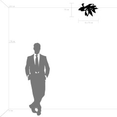 Потолочная люстра Lightstar 754166