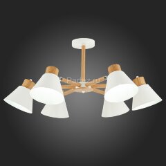 Потолочная люстра Evoluce SLE103702-06