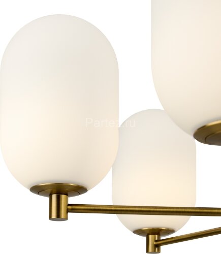 Потолочная люстра Freya FR1012PL-06BS