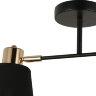 Потолочная люстра ILLUMICO IL6116-2COU-79 BK GD Abelie