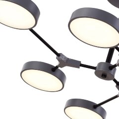 Потолочная люстра Evoluce SLE6003-702-06