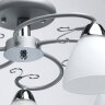Потолочная люстра MW-Light 676014805