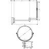 Косметическое зеркало Hansgrohe AddStoris, Черный (41791340)