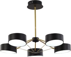 Потолочная люстра Evoluce SLE6005-402-05