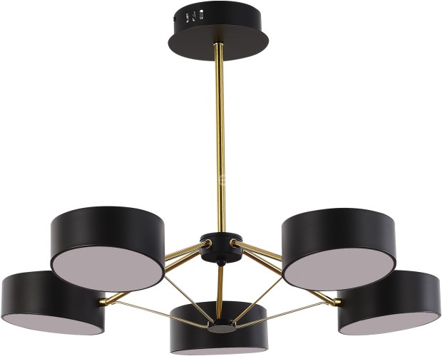 Потолочная люстра Evoluce SLE6005-402-05