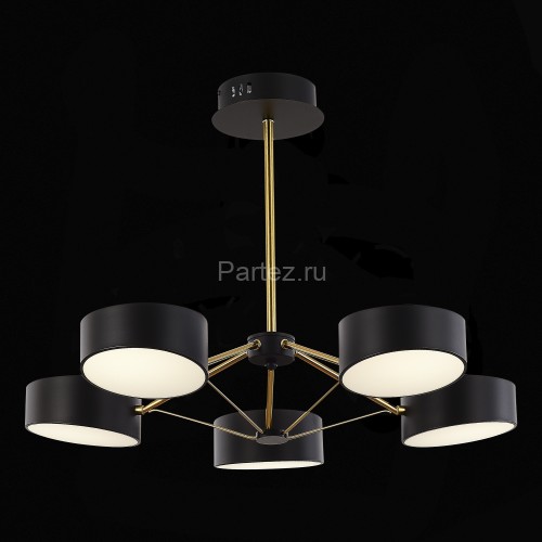 Потолочная люстра Evoluce SLE6005-402-05