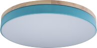 Потолочный светильник Loft It 10001/36 Blue