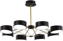 Потолочная люстра Evoluce SLE6005-402-08